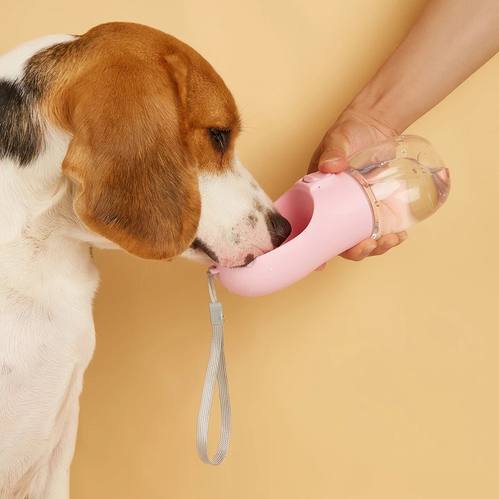 Leak-Proof Portable Pet Water Bottle